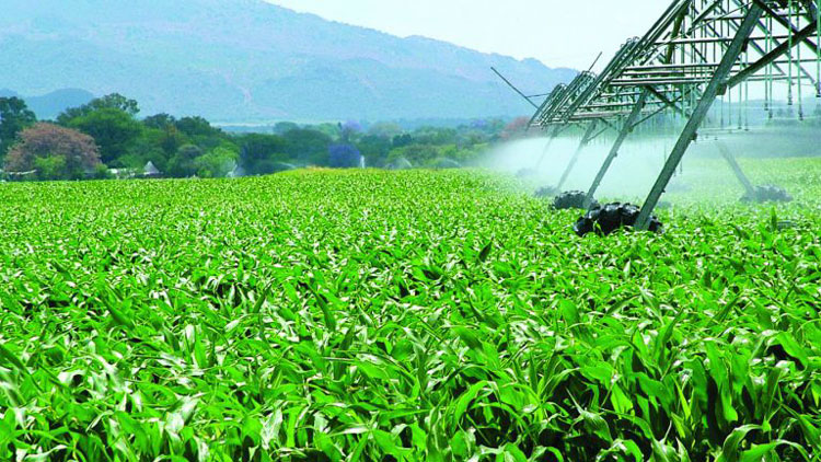 Por la crisis del sector agropecuario, cae al nivel de 2008 la venta de fertilizantes