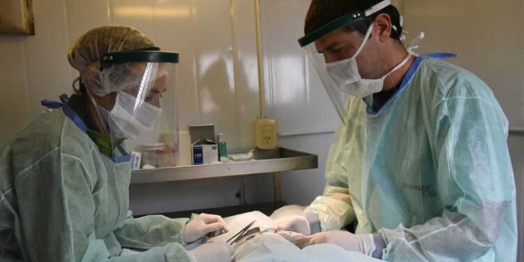 Móviles de esterilización – dónde se encuentran y cómo solicitar turno