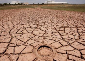 Por la sequía, declaran el estado de emergencia agropecuaria en la provincia de Buenos Aires