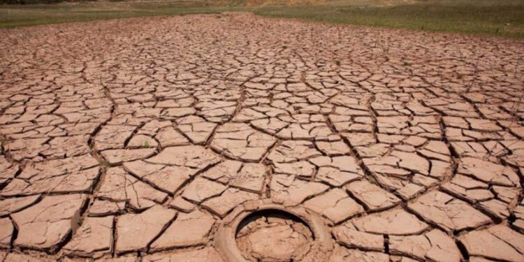 Por la sequía, declaran el estado de emergencia agropecuaria en la provincia de Buenos Aires