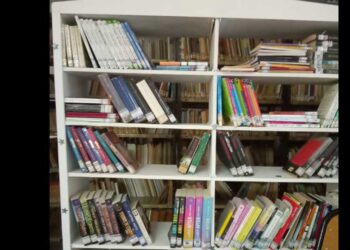 «Cuando parecía que la biblioteca podía cerrarse, pudimos utilizar nuestros recursos y hoy es un orgullo verla llena de actividades»
