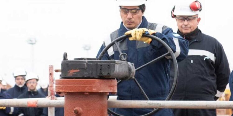Royón: “El gas de Vaca Muerta es más competitivo que el importado”