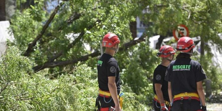 Cómo funcionan los servicios en la ciudad tras el temporal