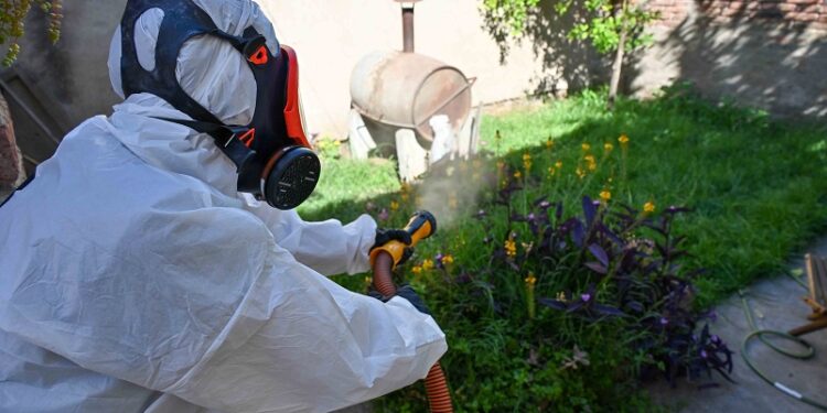 Continúan las tareas de prevención de dengue