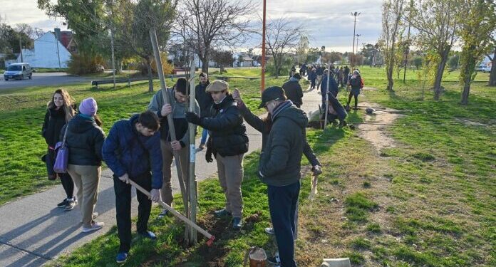 Reverdecer Bahía – próximas jornadas de reforestación