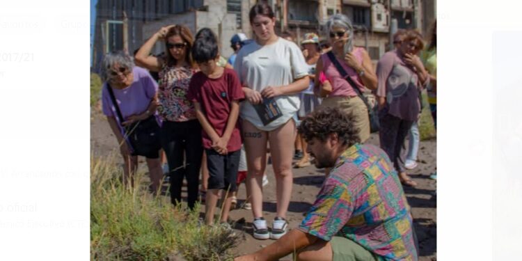 FerroWhite y una reseña sobre el camino recorrido durante este verano
